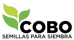 Casa Cobo